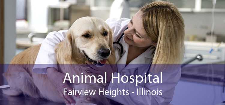 Animal Hospital Fairview Heights - Illinois
