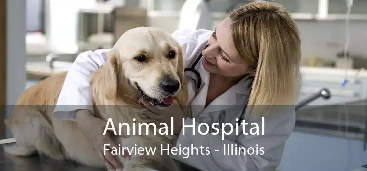 Animal Hospital Fairview Heights - Illinois