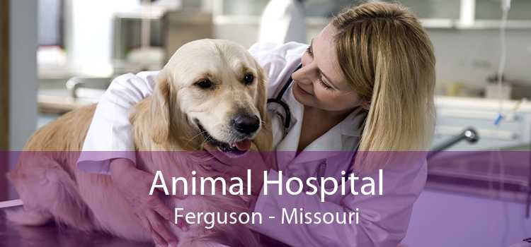 Animal Hospital Ferguson - Missouri