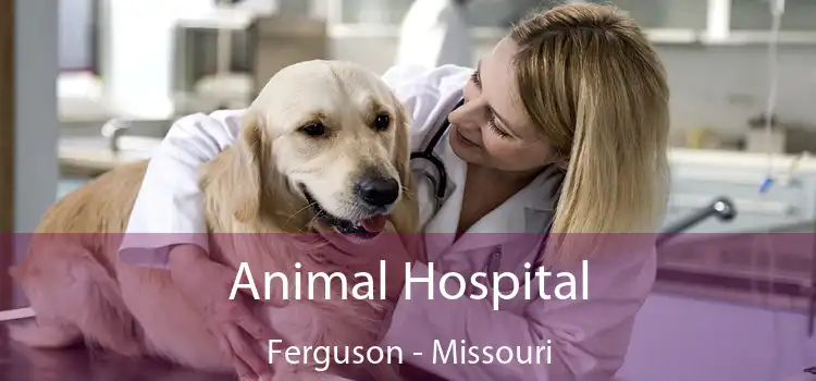 Animal Hospital Ferguson - Missouri