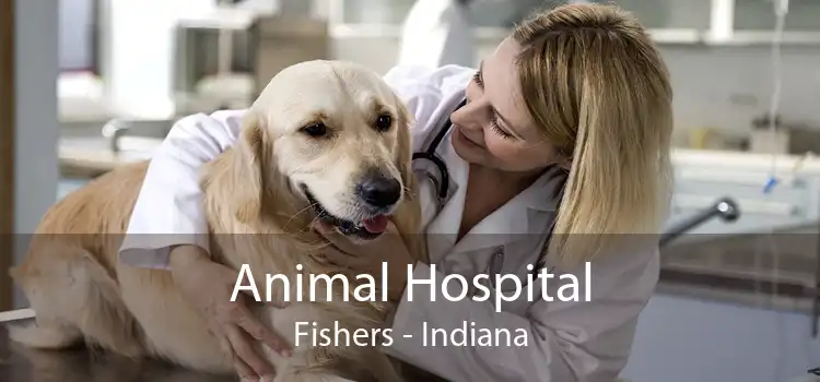 Animal Hospital Fishers - Indiana