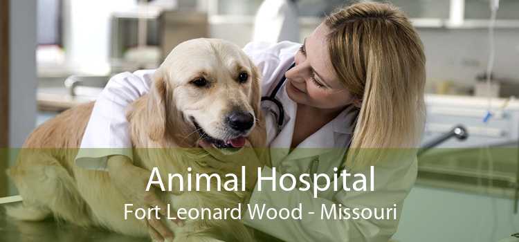 Animal Hospital Fort Leonard Wood - Missouri