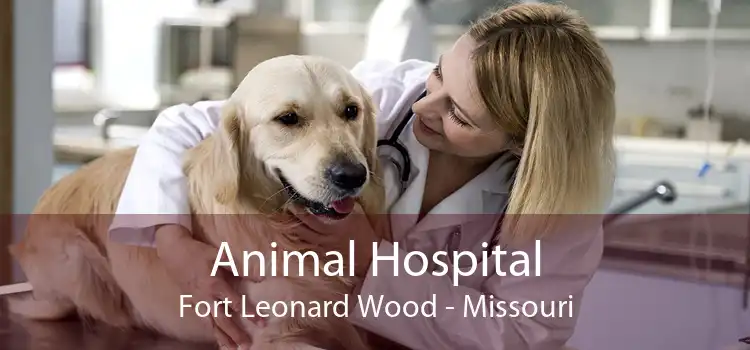 Animal Hospital Fort Leonard Wood - Missouri