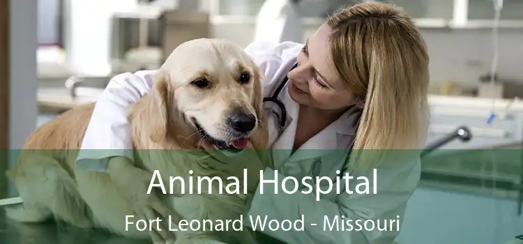 Animal Hospital Fort Leonard Wood - Missouri