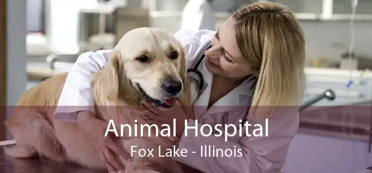 Animal Hospital Fox Lake - Illinois