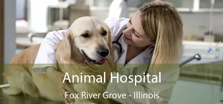 Animal Hospital Fox River Grove - Illinois