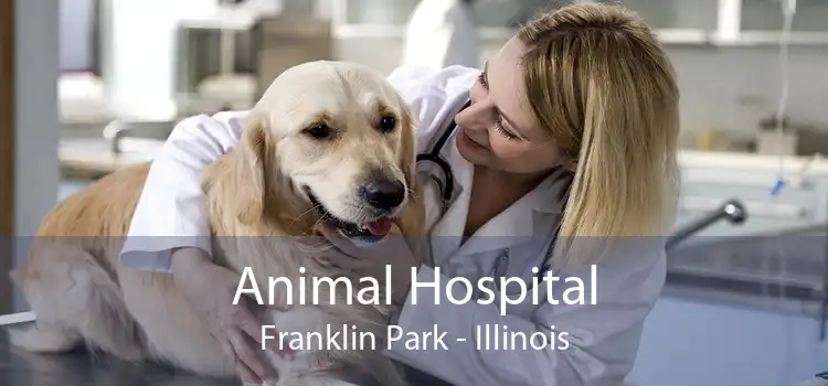 Animal Hospital Franklin Park - Illinois