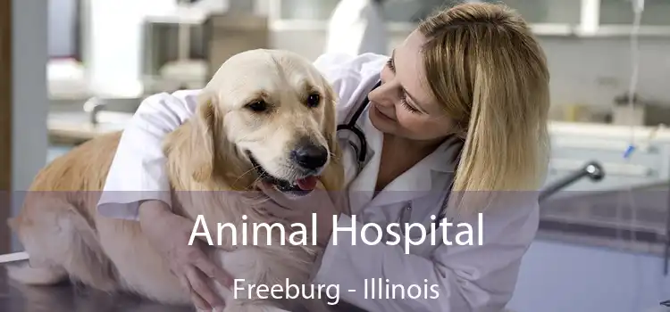 Animal Hospital Freeburg - Illinois