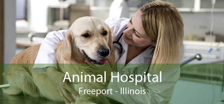 Animal Hospital Freeport - Illinois