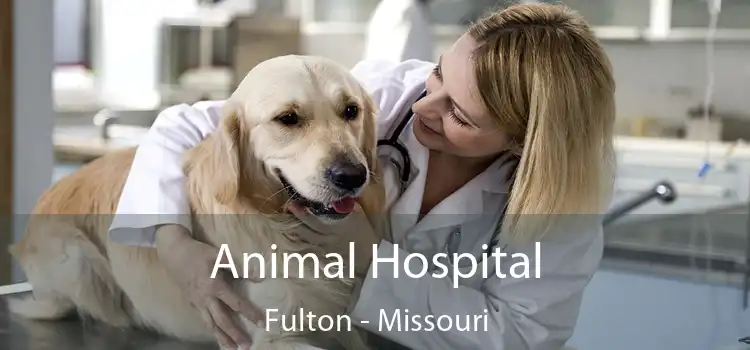 Animal Hospital Fulton - Missouri