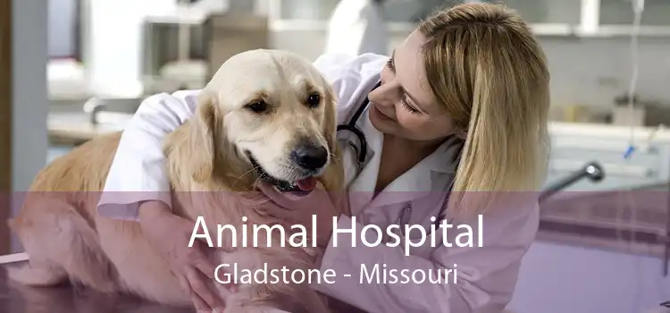 Animal Hospital Gladstone - Missouri