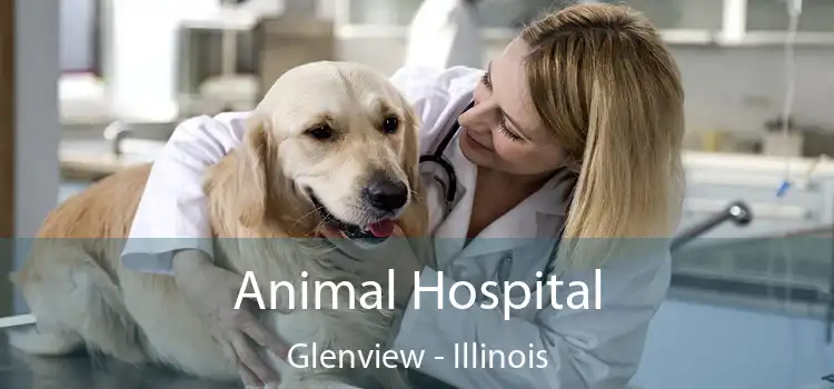 Animal Hospital Glenview - Illinois