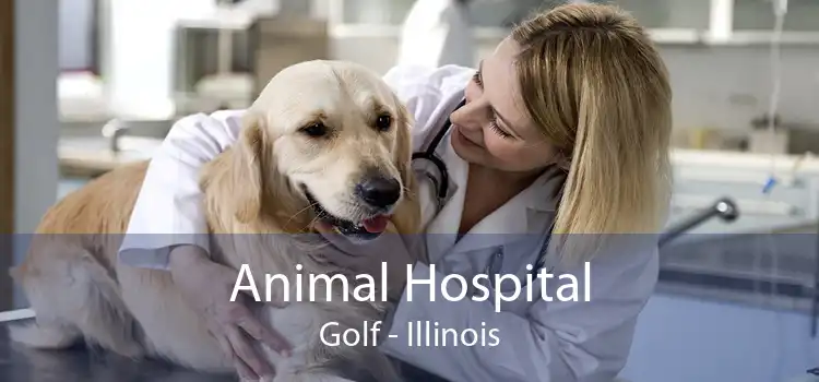 Animal Hospital Golf - Illinois