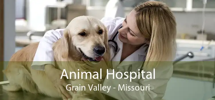 Animal Hospital Grain Valley - Missouri