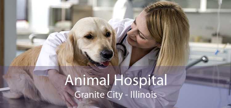 Animal Hospital Granite City - Illinois