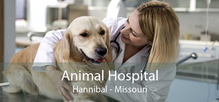 Animal Hospital Hannibal - Missouri