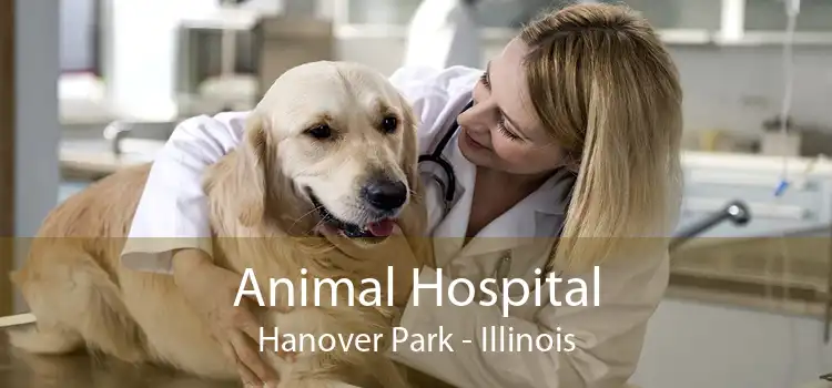 Animal Hospital Hanover Park - Illinois