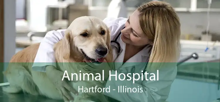 Animal Hospital Hartford - Illinois