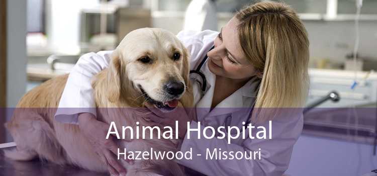 Animal Hospital Hazelwood - Missouri