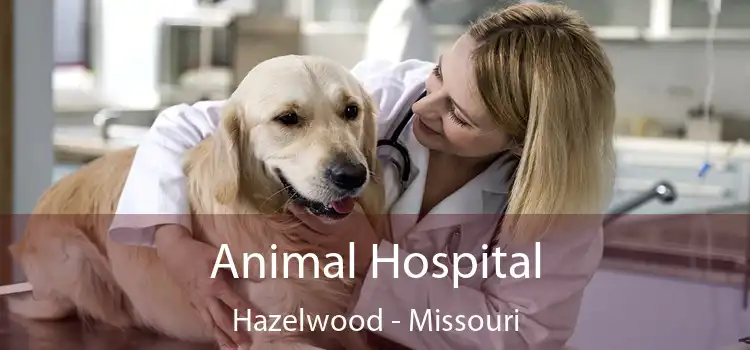 Animal Hospital Hazelwood - Missouri