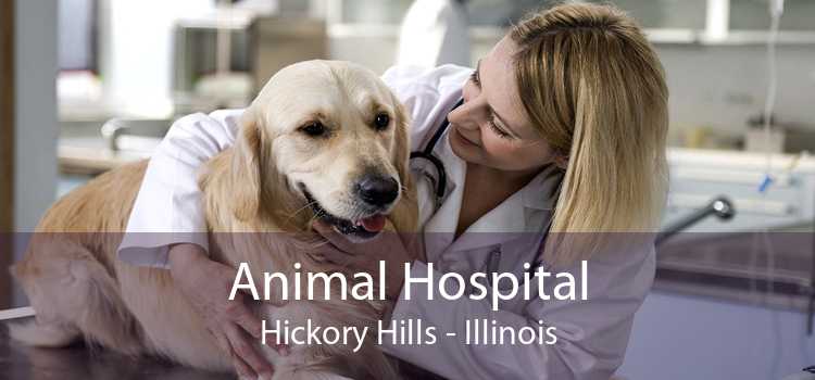 Animal Hospital Hickory Hills - Illinois