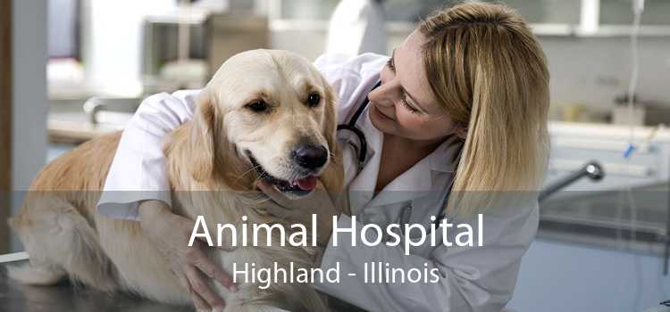 Animal Hospital Highland - Illinois