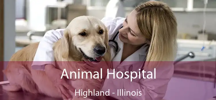 Animal Hospital Highland - Illinois