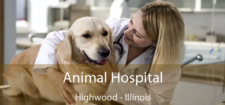 Animal Hospital Highwood - Illinois