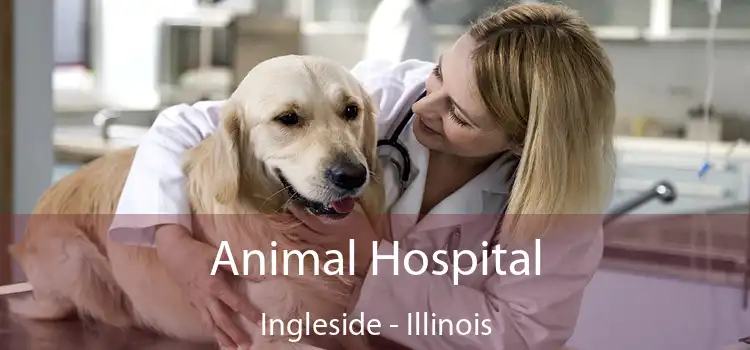 Animal Hospital Ingleside - Illinois