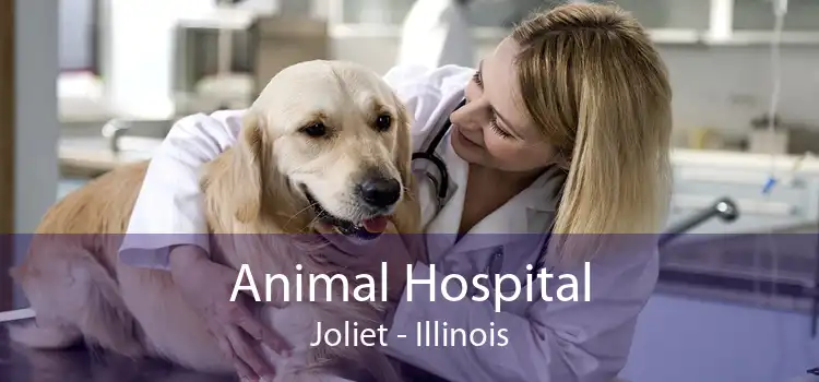 Animal Hospital Joliet - Illinois