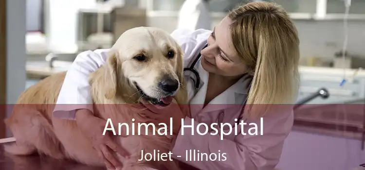 Animal Hospital Joliet - Illinois