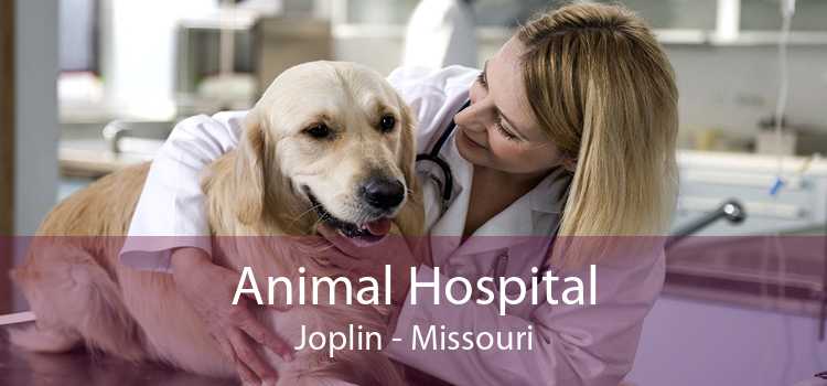 Animal Hospital Joplin - Missouri