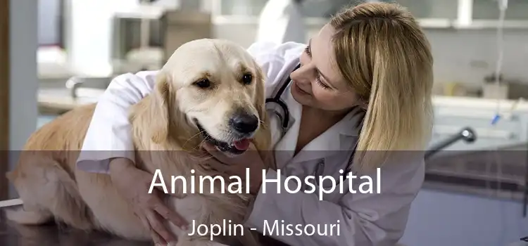 Animal Hospital Joplin - Missouri