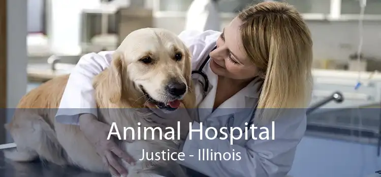 Animal Hospital Justice - Illinois