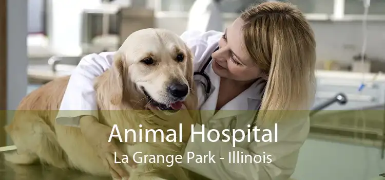 Animal Hospital La Grange Park - Illinois
