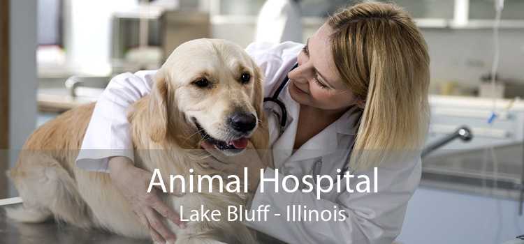 Animal Hospital Lake Bluff - Illinois