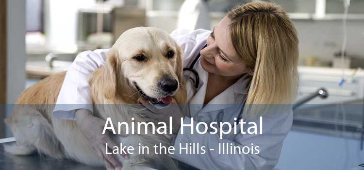 Animal Hospital Lake in the Hills - Illinois