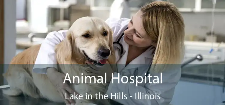 Animal Hospital Lake in the Hills - Illinois