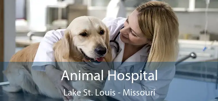 Animal Hospital Lake St. Louis - Missouri