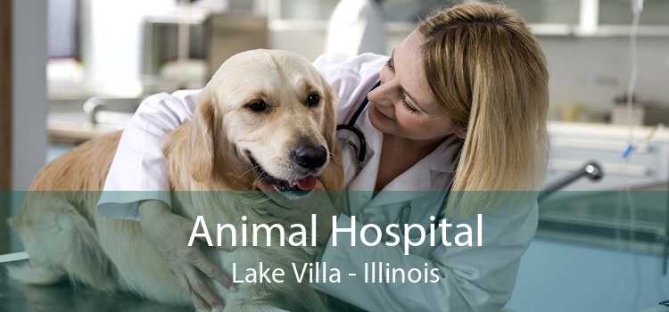Animal Hospital Lake Villa - Illinois