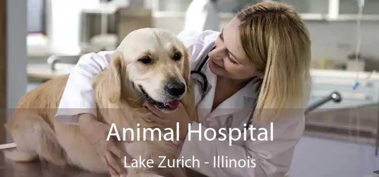 Animal Hospital Lake Zurich - Illinois