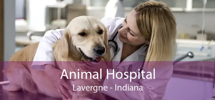 Animal Hospital Lavergne - Indiana