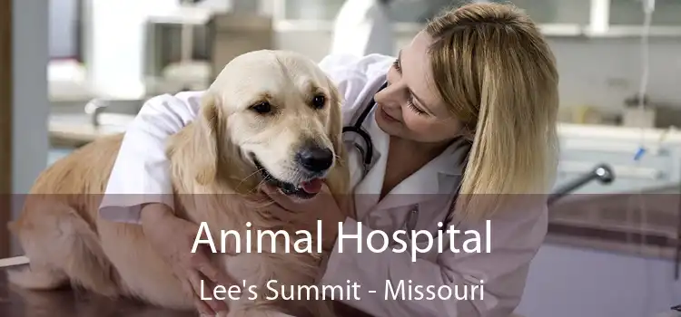 Animal Hospital Lee's Summit - Missouri