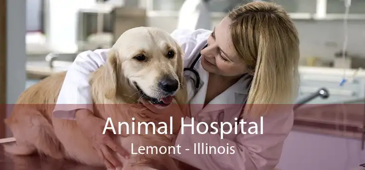 Animal Hospital Lemont - Illinois