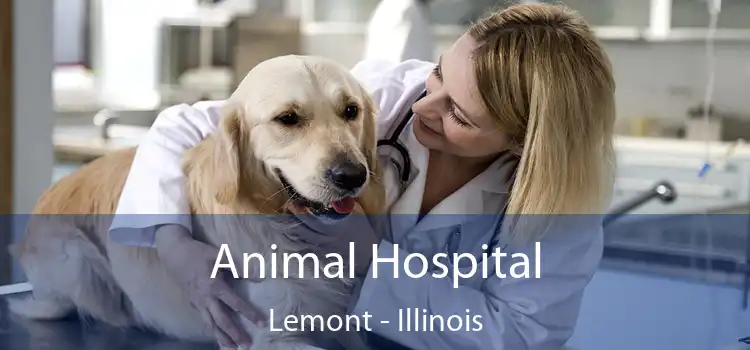 Animal Hospital Lemont - Illinois