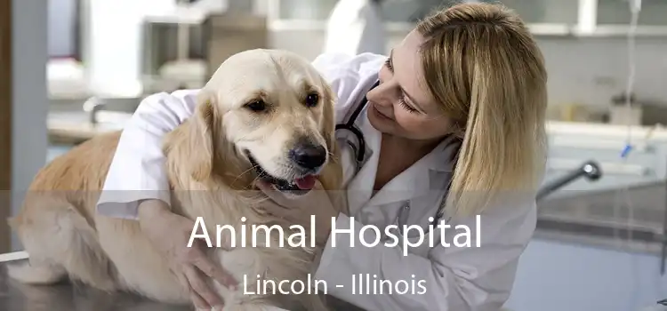 Animal Hospital Lincoln - Illinois