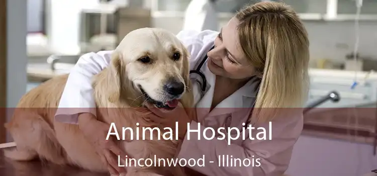 Animal Hospital Lincolnwood - Illinois