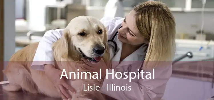 Animal Hospital Lisle - Illinois