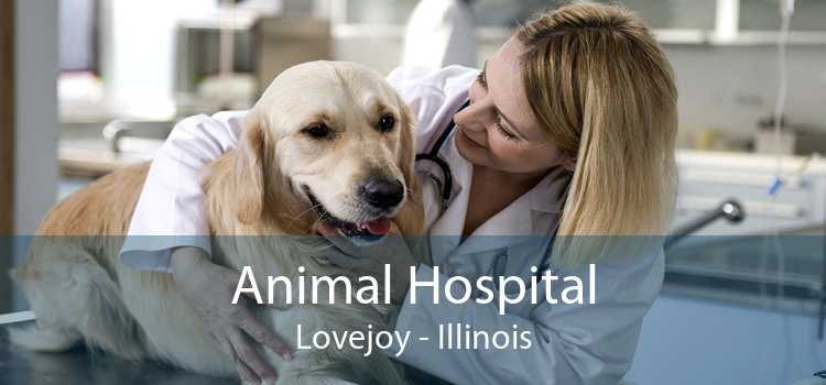 Animal Hospital Lovejoy - Illinois