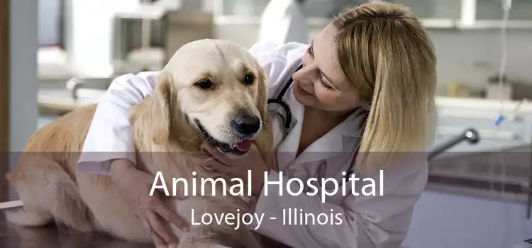 Animal Hospital Lovejoy - Illinois